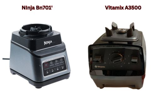 Ninja BN701 vs Vitamix E310 blenders