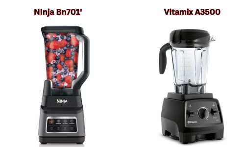 Ninja BN701 vs Vitamix E310 blenders