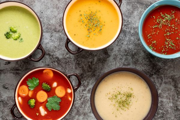 Vitamix Explorian E520 soups